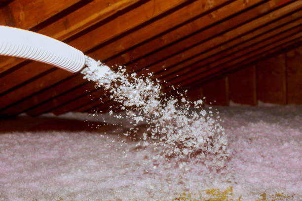 Best Insulation Maintenance and Repair in Judsonia, AR