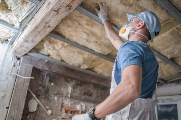 Best Insulation Materials and Products in Judsonia, AR