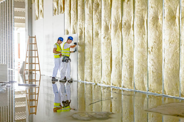 Best Types of Insulation in Judsonia, AR